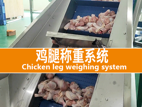 雞腿稱重系統(tǒng)